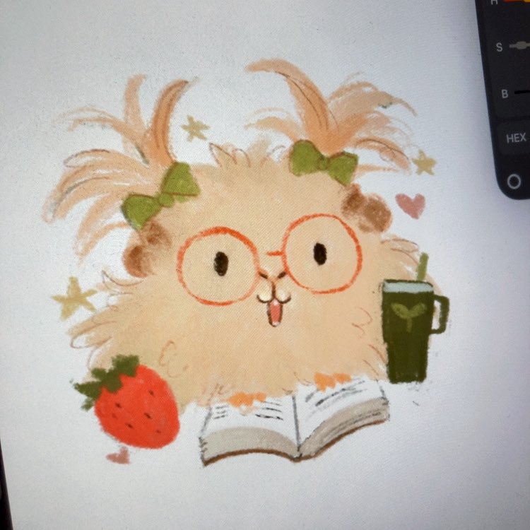 ビフォーアフター🐹