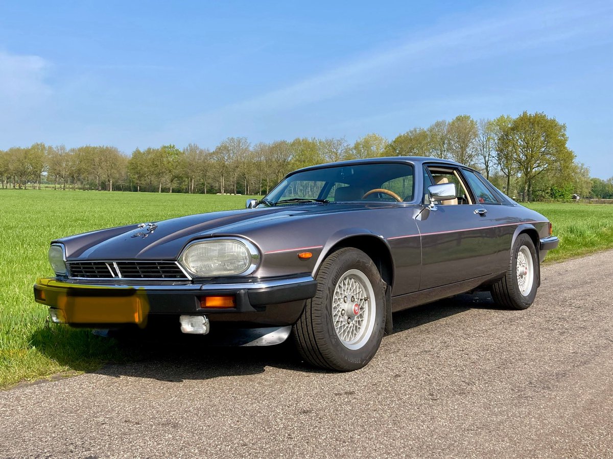MarcoPastors's tweet photo. @ListerLawrence Nobody ever knows but meanwhile great car to enjoy on shopping runs and longer travels. This is 3.6 and catalysed. https://t.co/tK1BydGDkv