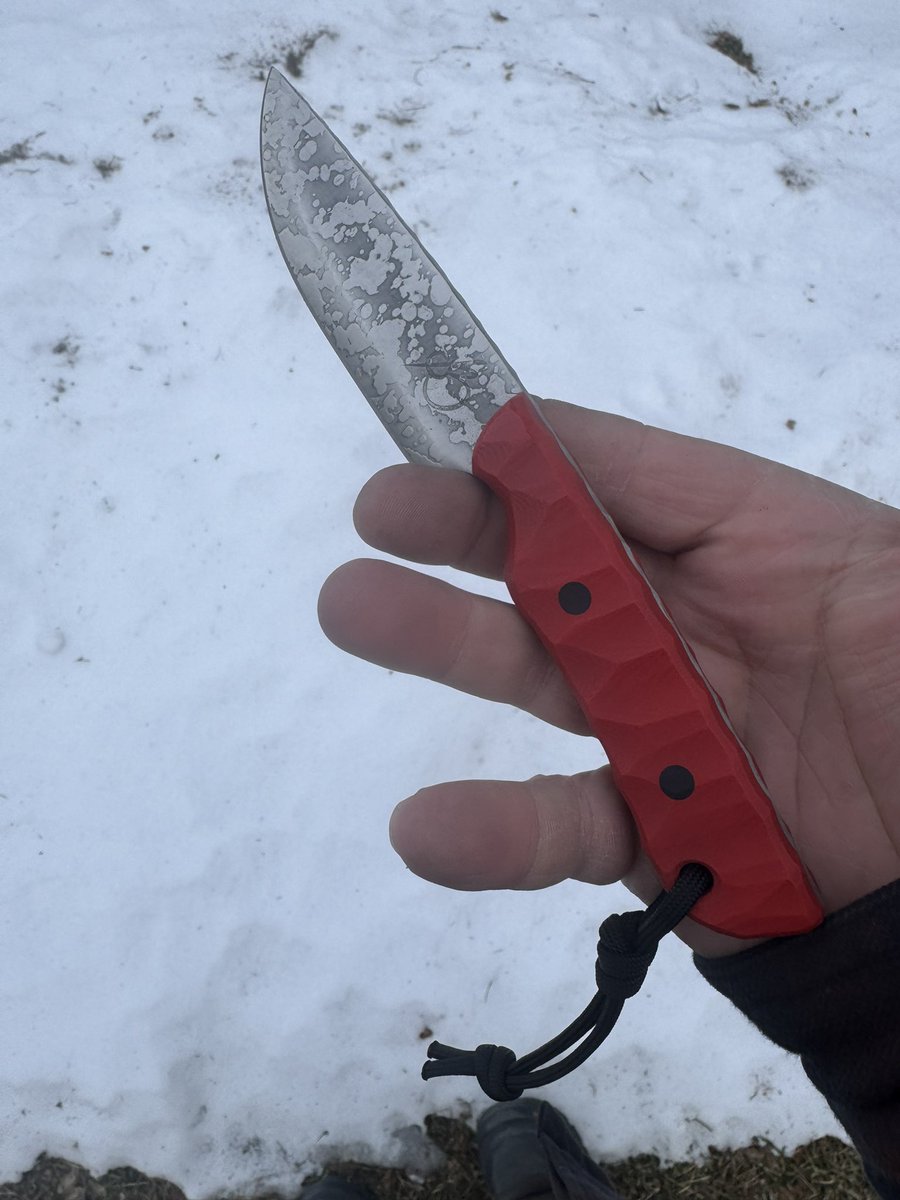 No one to be trifled with tweet media