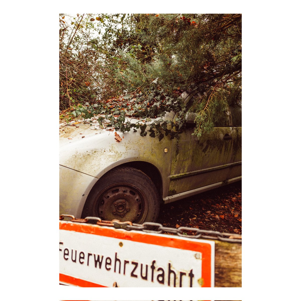 totalreporter's tweet photo. Feuerwehrzufahrt, Erlangen im Dezember 2025

Die Postapokalypse liegt mitten im Villenviertel. Die Reifen sind platt und Moos wächst auf dem Auto. Noch 20.000 Jahre und der Golf ist Kompost.

#nachhaltig #erlangen #postapokalypse https://t.co/ow10JyDuE8