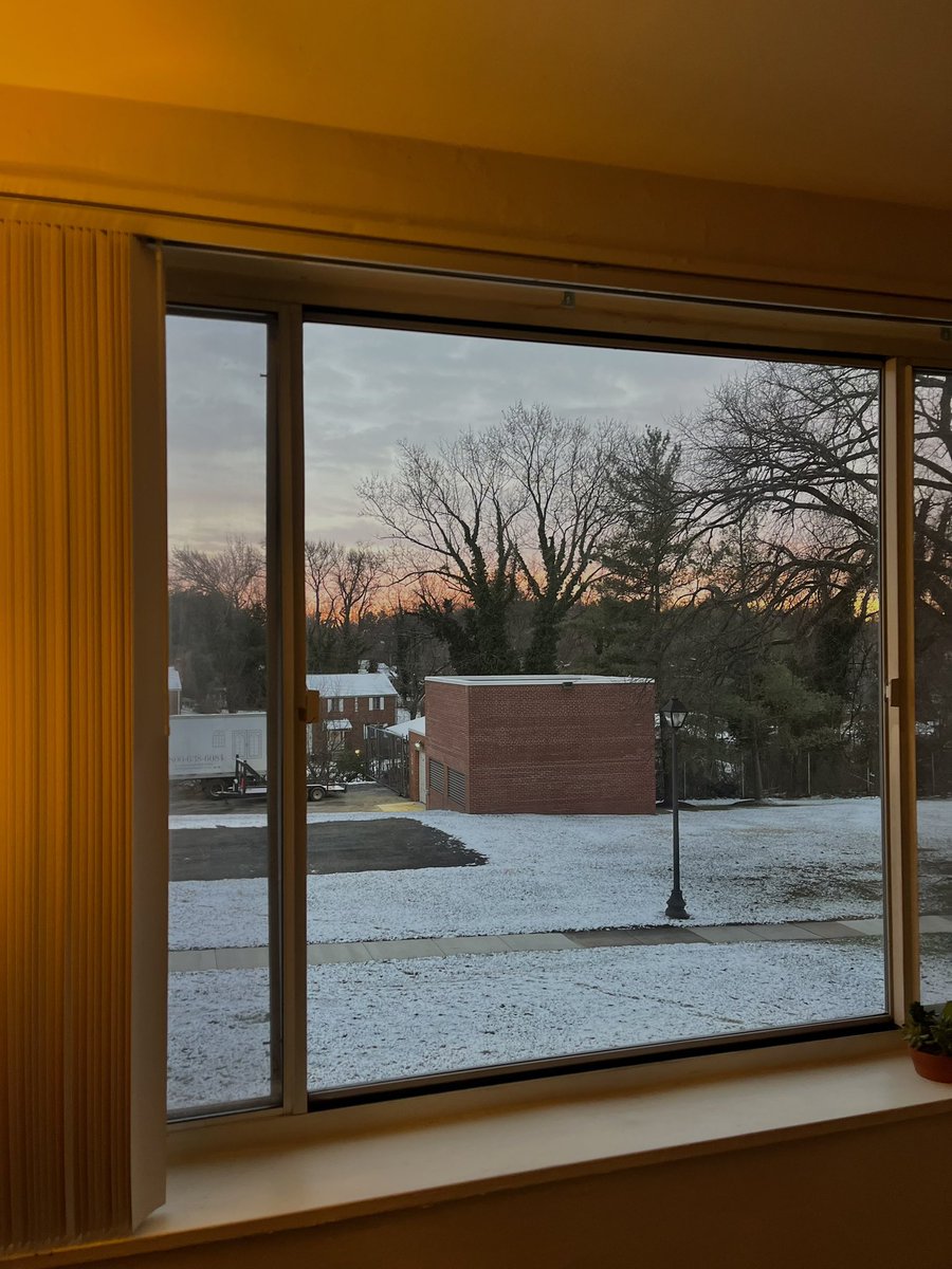 Distintos tipos de naranja