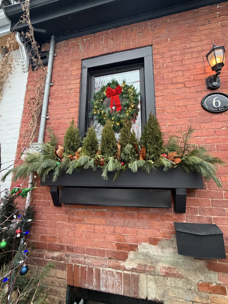 justingodard's tweet image. My window box is also looking festive. 😊🎁🌲 #gardening #decorating #GardensHour