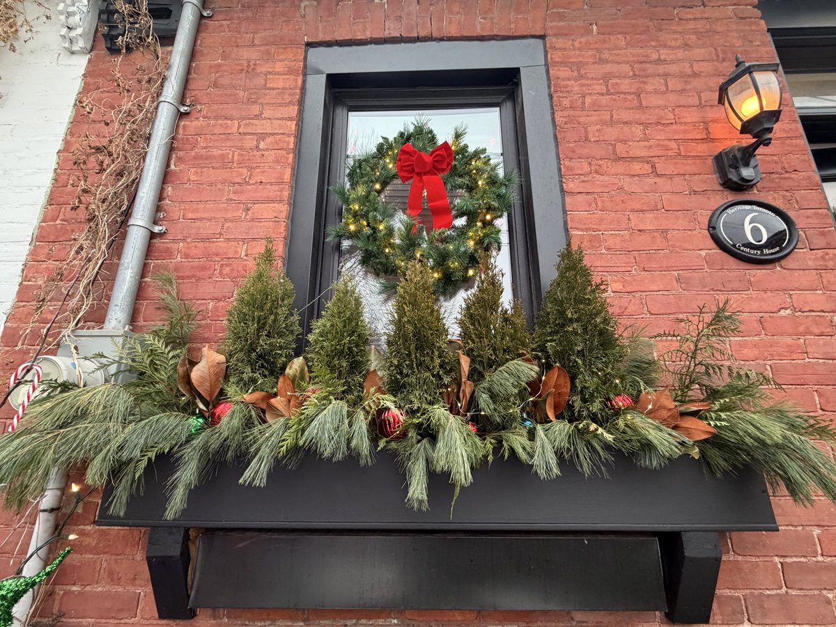 justingodard's tweet image. My window box is also looking festive. 😊🎁🌲 #gardening #decorating #GardensHour