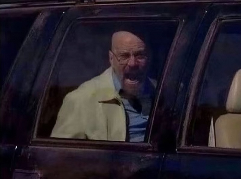 Feline⚠️🧪🐈Entity tweet media