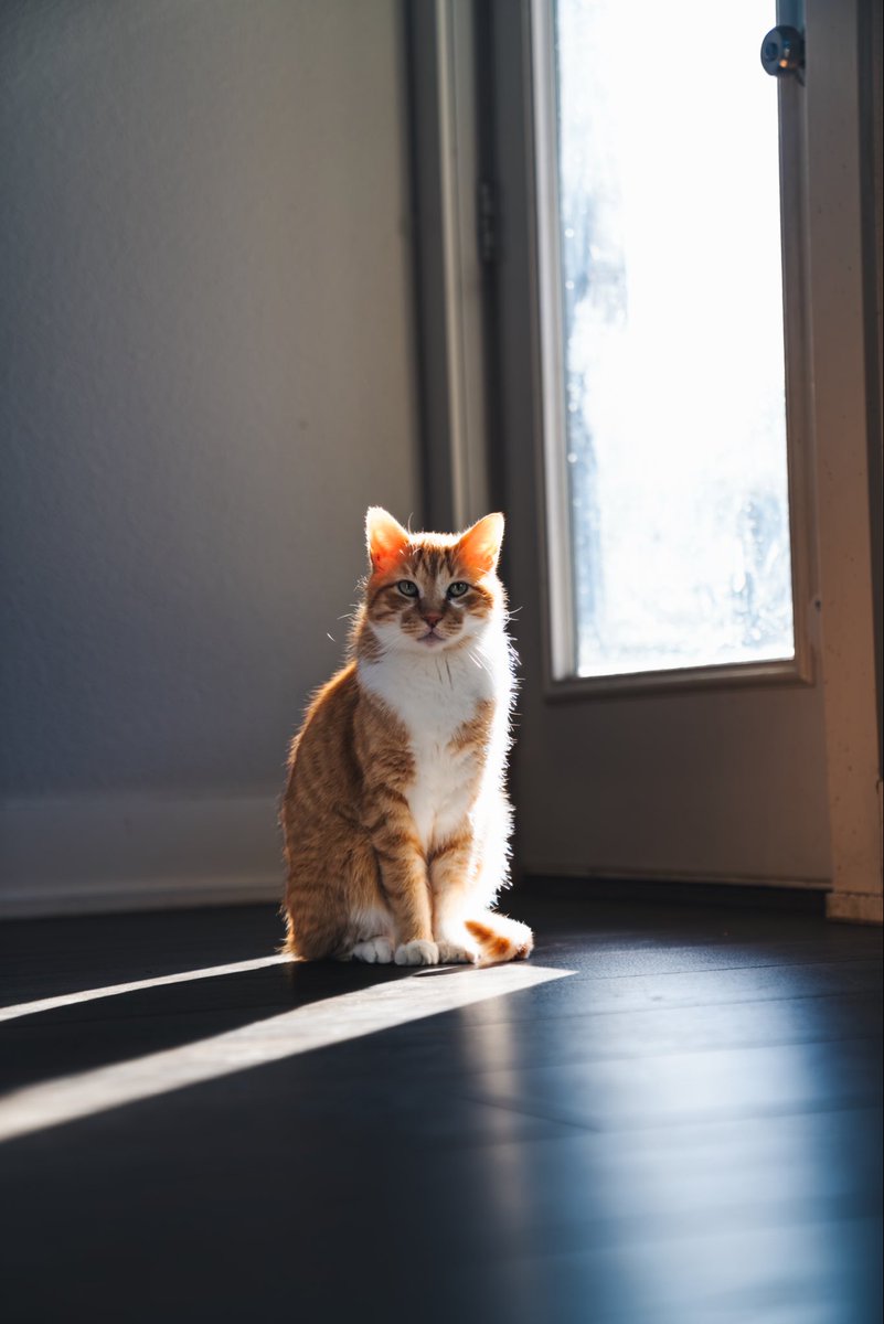 look at my baby angel 🪽🧡