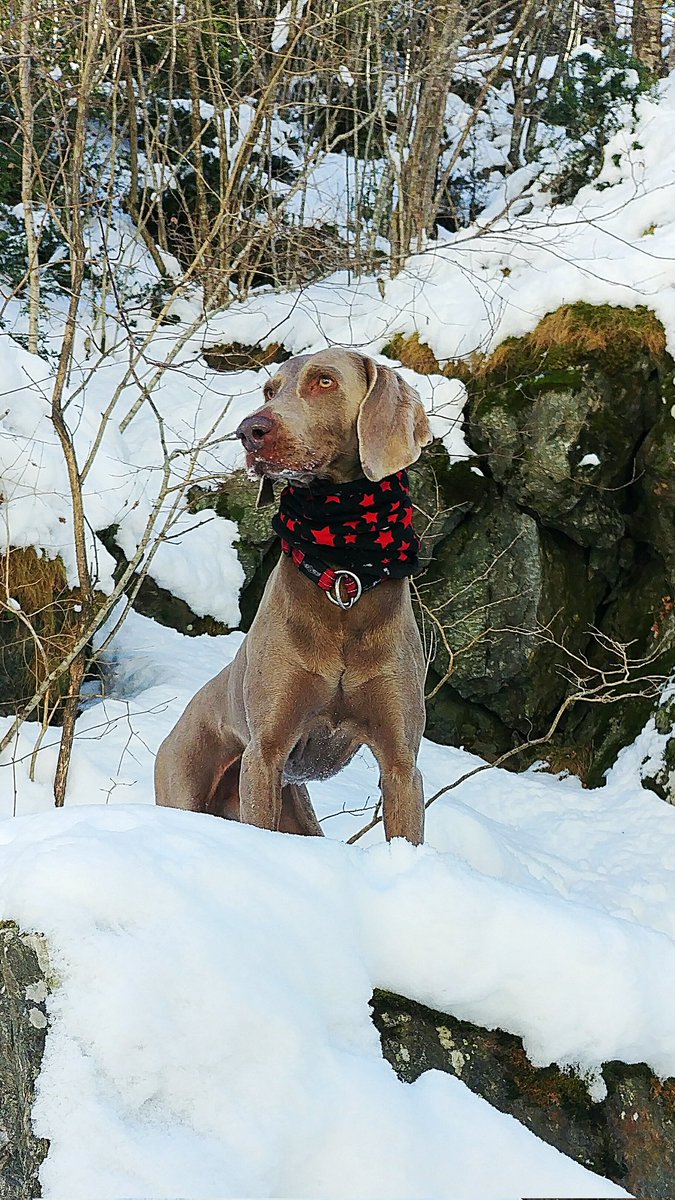 Berto Bandi tweet media