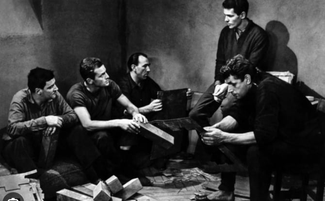 Calypso Films tweet media