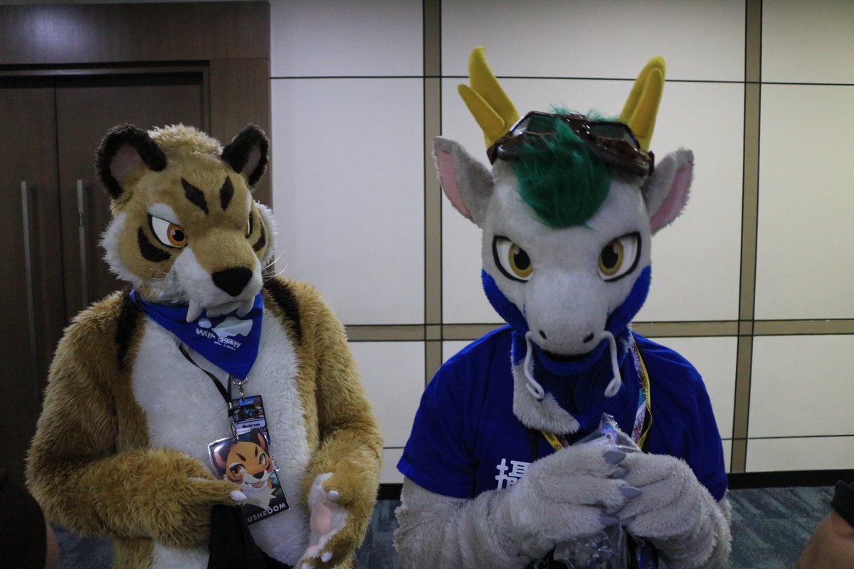 是政　KOREMASA tweet media