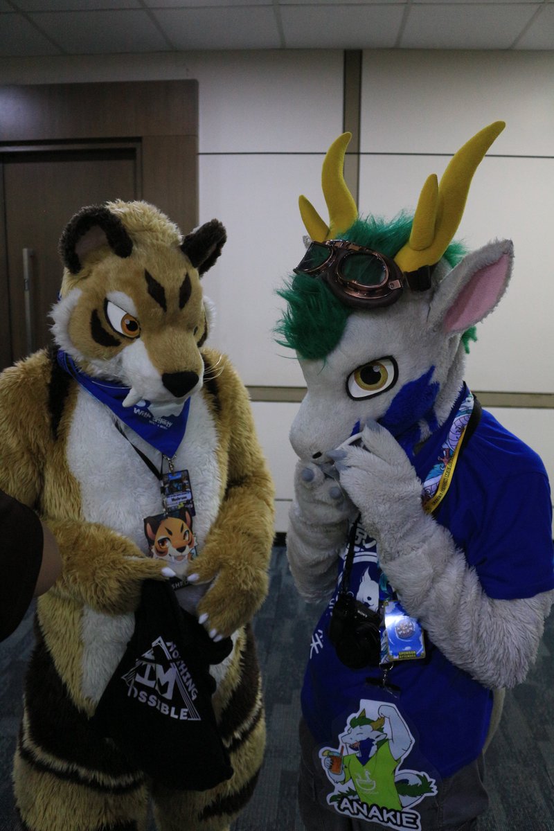 是政　KOREMASA tweet media