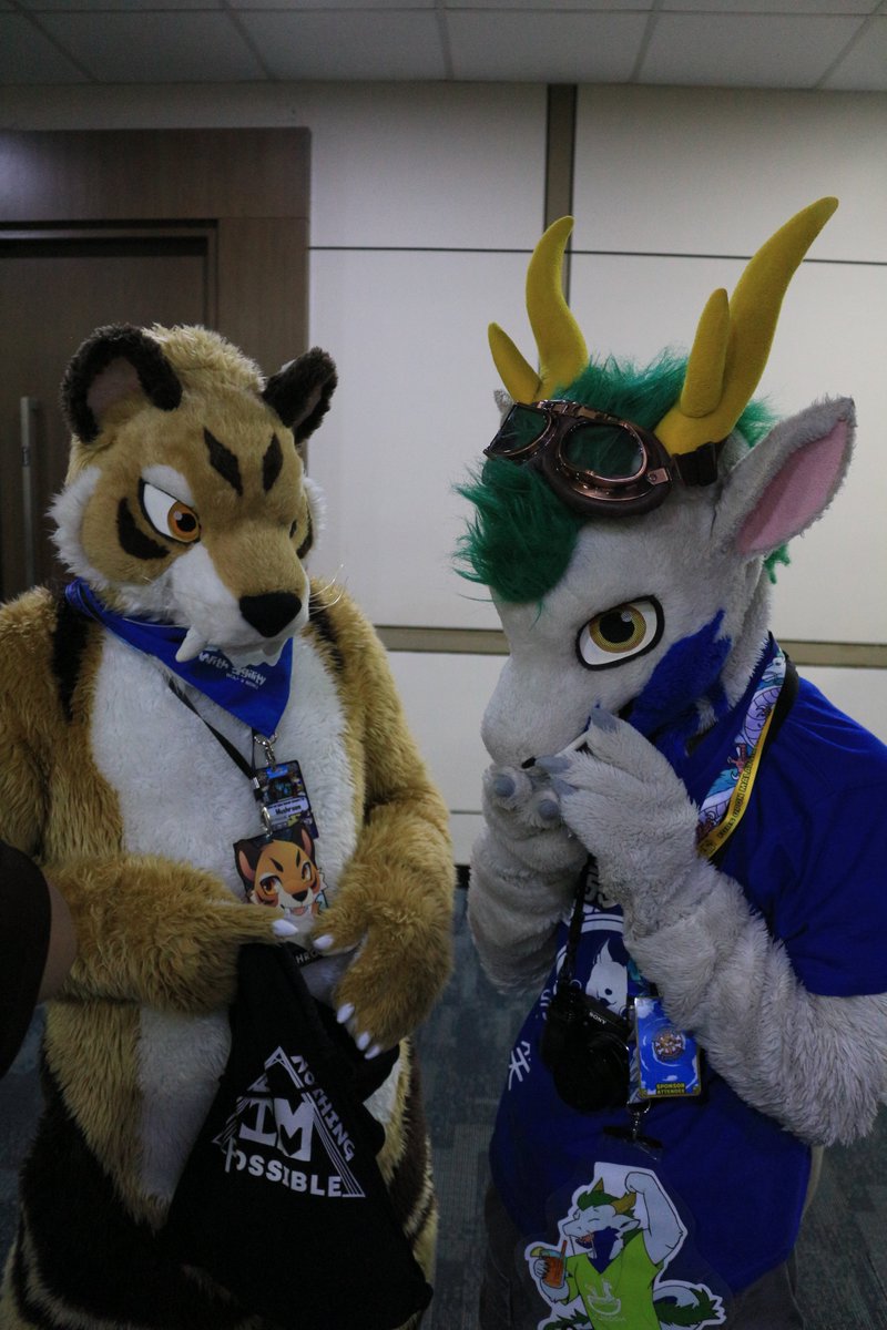 是政　KOREMASA tweet media