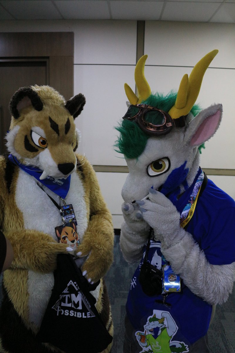 是政　KOREMASA tweet media