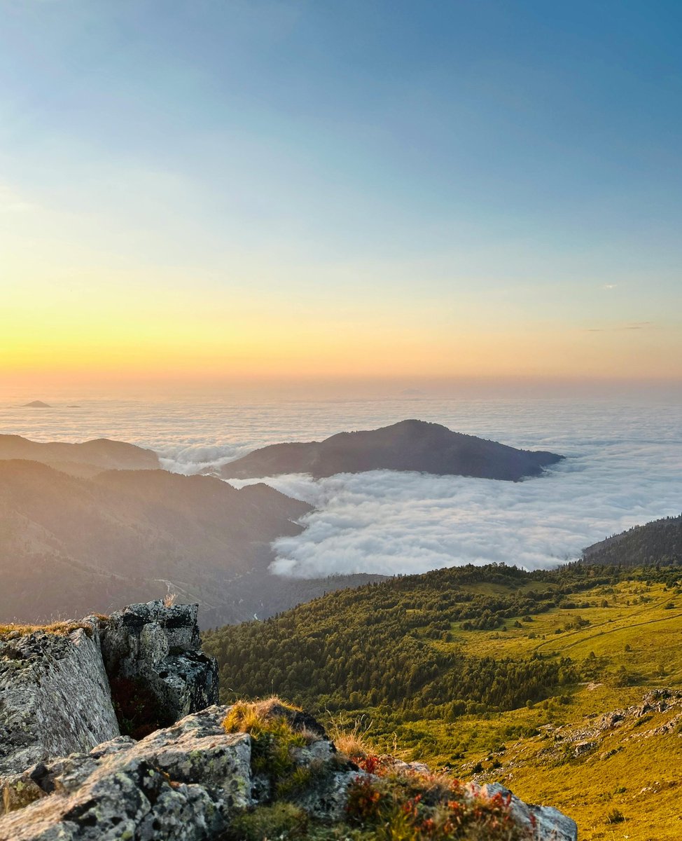 Saadi♡Alsyaah tweet media