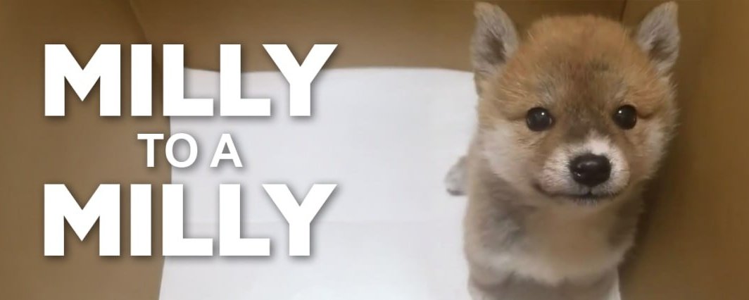 $MILLY

5PqagZKug3F9K4mSzFiwJt2rHdjwhA9GQqtNiZS2BAGS

x.com/i/status/20006…