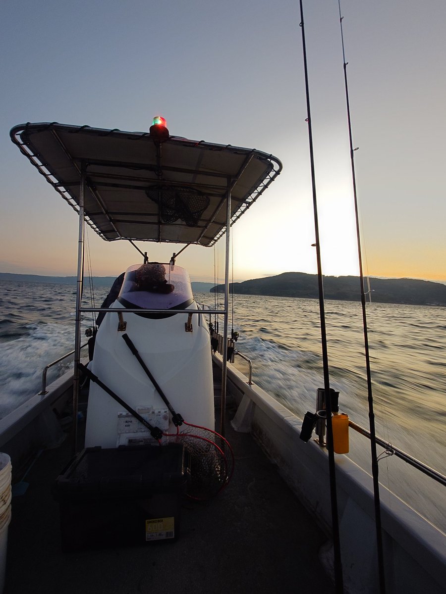 skillful【スキルフル】オカモトタクミ (@skillfullure) / Posts / X