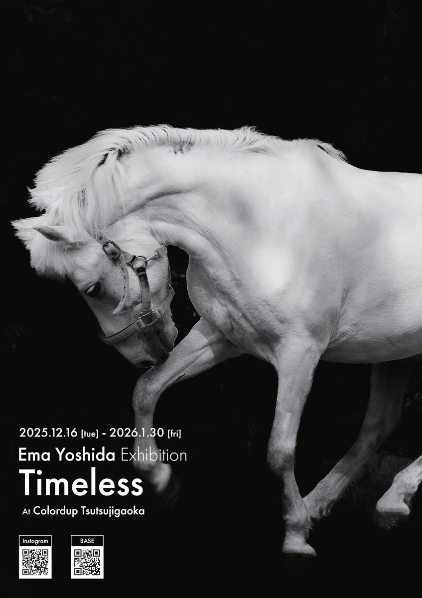 bananasmilch's tweet photo. いよいよ展示は本日から！約1ヶ月半の展示となります🐴🦄
平日9:00〜18:00のみの店舗営業となりますが、夜もライトアップしてくださるので6点は外からいつでも見ることができます！
よろしくお願いいたします🙇
#仙台　#馬写真展 https://t.co/a4A700zWqb