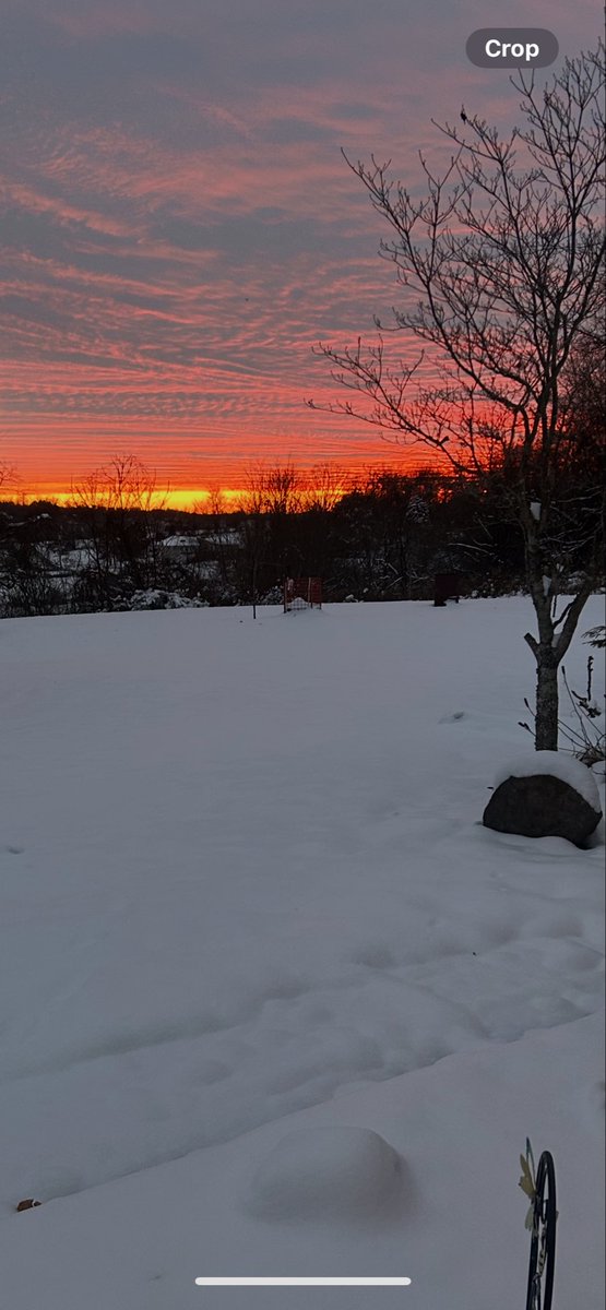 Sunset tonight ❤️