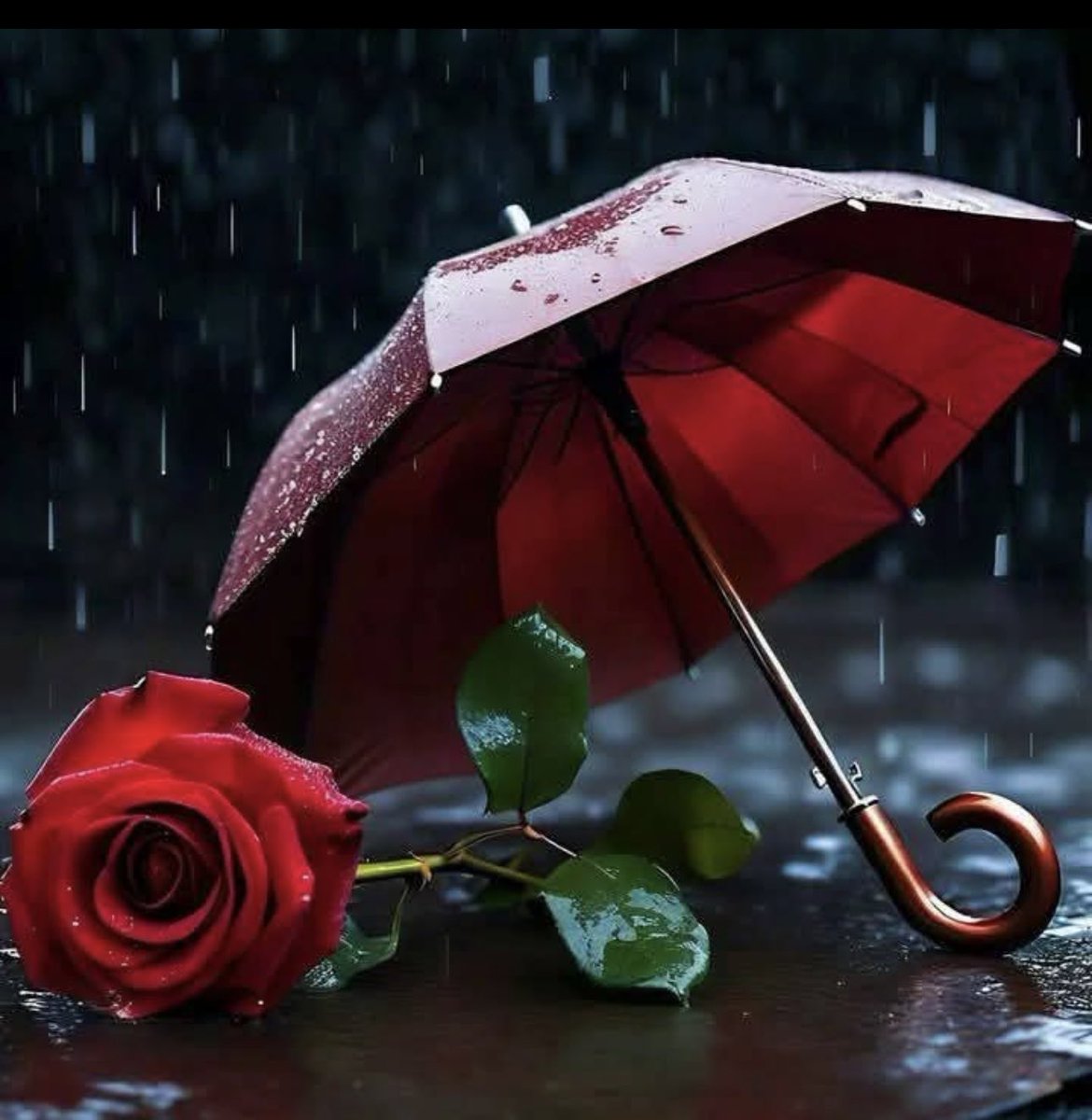 #في_قانون_الوفاء                                                     لا تشحذ وداً بارداً ولا تسأل وصلاً متكلفا ولا تنتظر مجيء من لا يجيء تقدم بعقلك وتراجع بقلبك .✍🏼