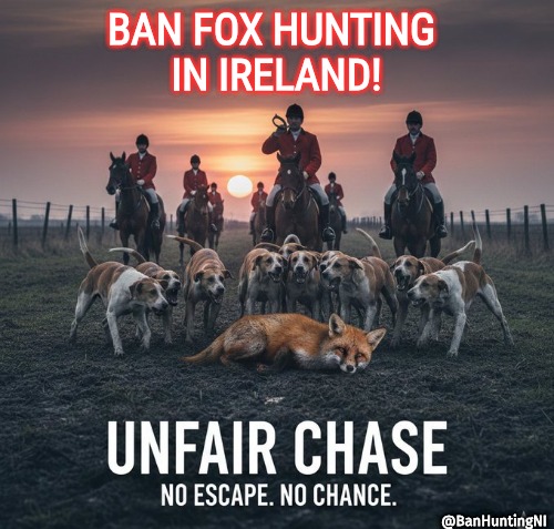 Anti Hunting NI #TeamFoxNI 🇺🇦 tweet media