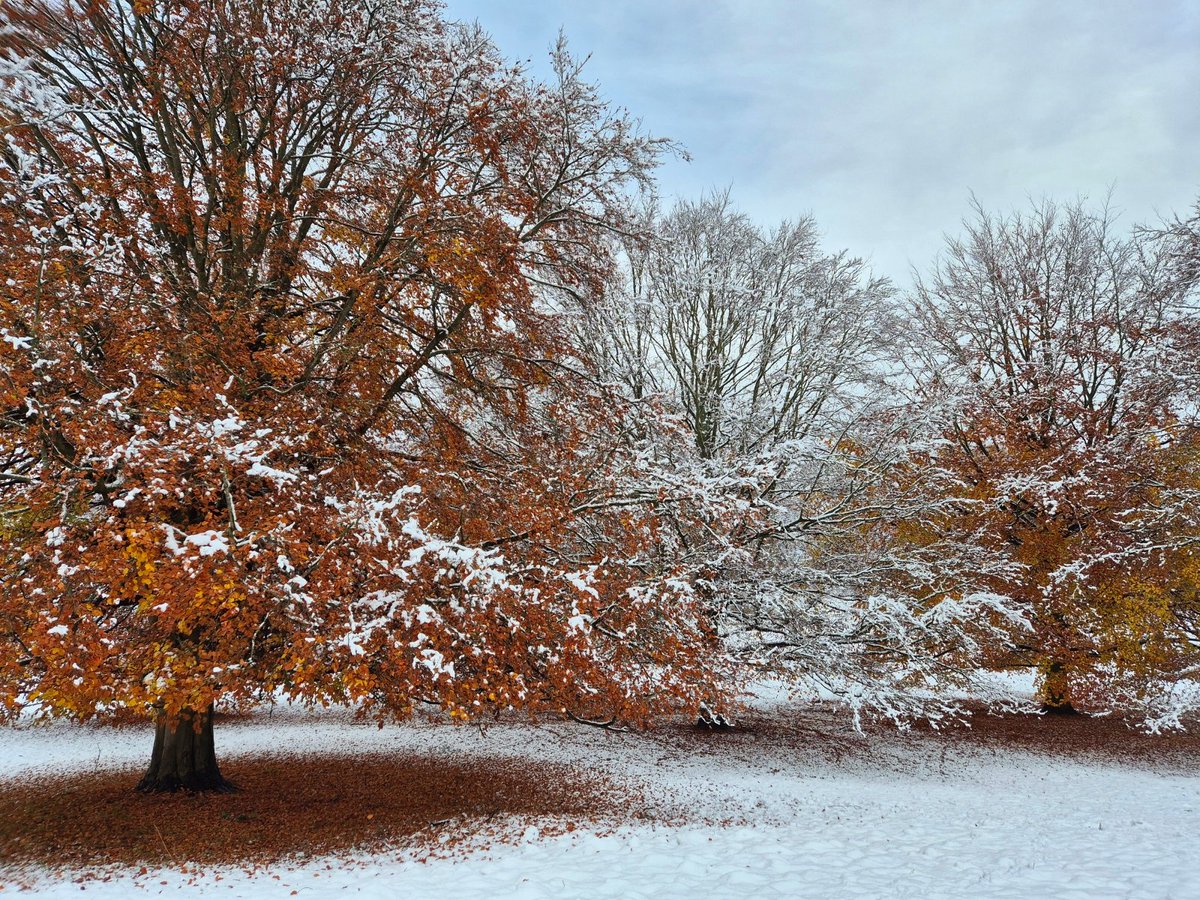 BeestonCamera's tweet image. In the run-up to Xmas, we thought it would be fun to showcase some of our @BeestonCamera Club members' most festive shots, to get us all into the spirit of the season. Enjoy! 
#cameraclub #FestiveVibes #PhotographyFeature #beestonsgottalent
More at: beestoncameraclub.org