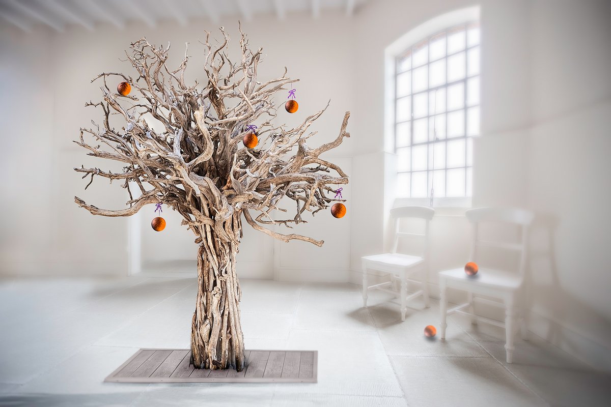 BeestonCamera's tweet image. In the run-up to Xmas, we thought it would be fun to showcase some of our @BeestonCamera Club members' most festive shots, to get us all into the spirit of the season. Enjoy! 
#cameraclub #FestiveVibes #PhotographyFeature #beestonsgottalent
More at: beestoncameraclub.org