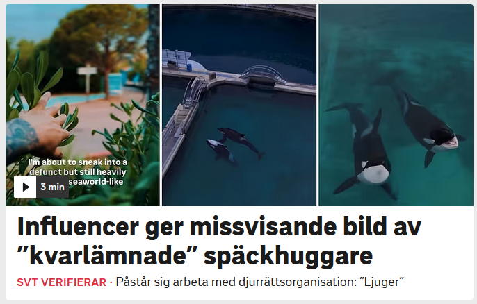 Simon Krona tweet media