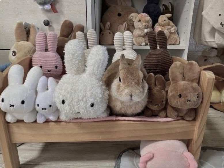 flutterfa1ry's tweet image. Unpinning at 55kgs