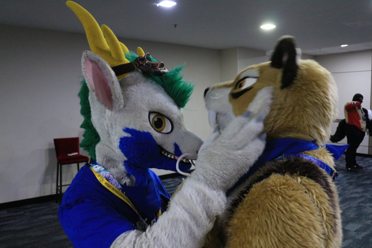 是政　KOREMASA tweet media