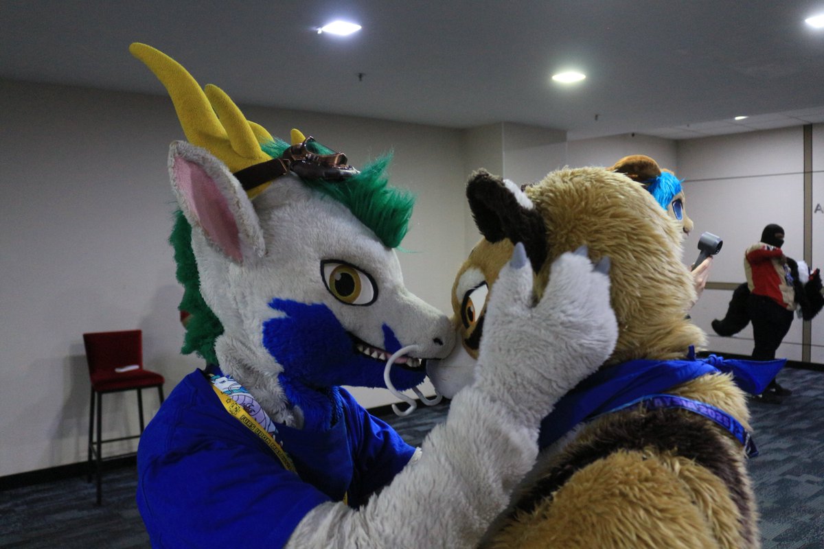 是政　KOREMASA tweet media