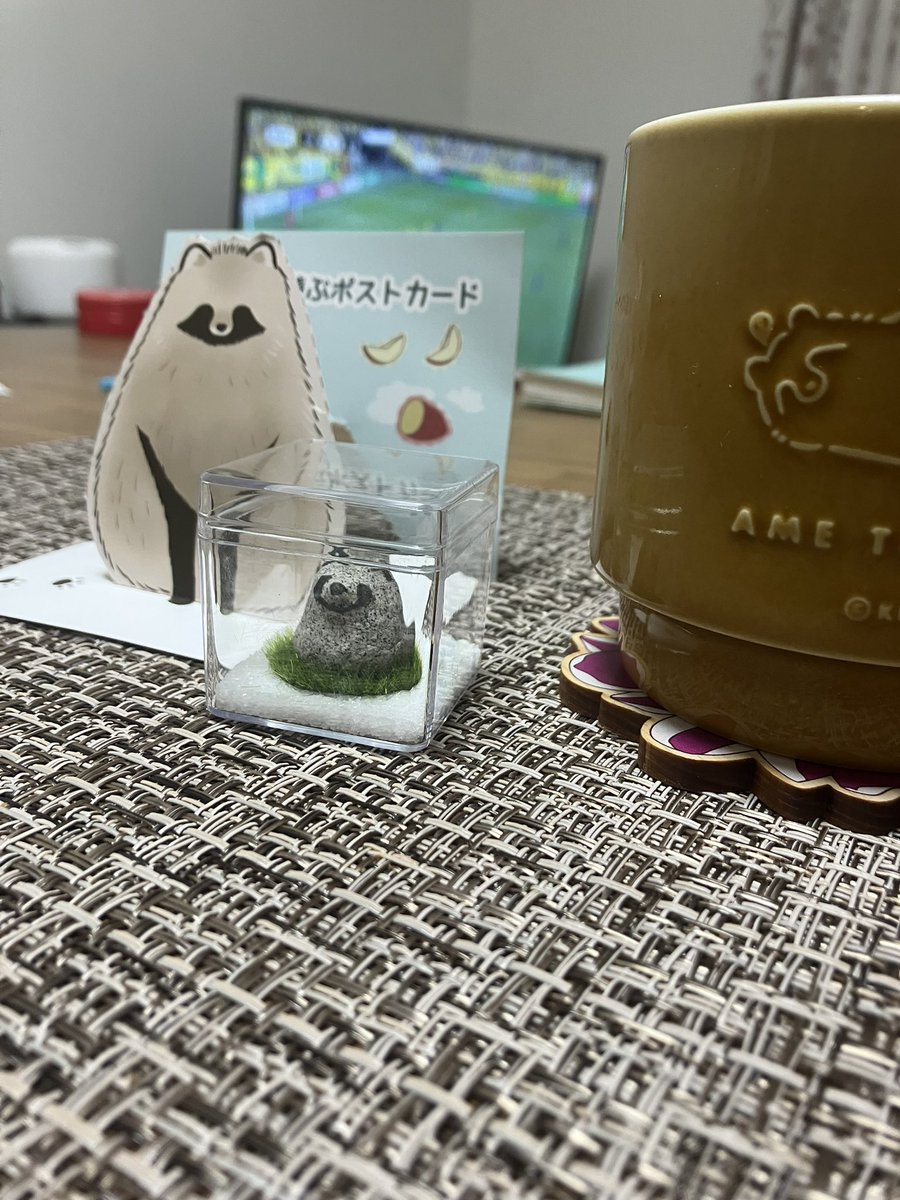 おはようございます₍ᐢ⓿ᴥ⓿ᐢฅ