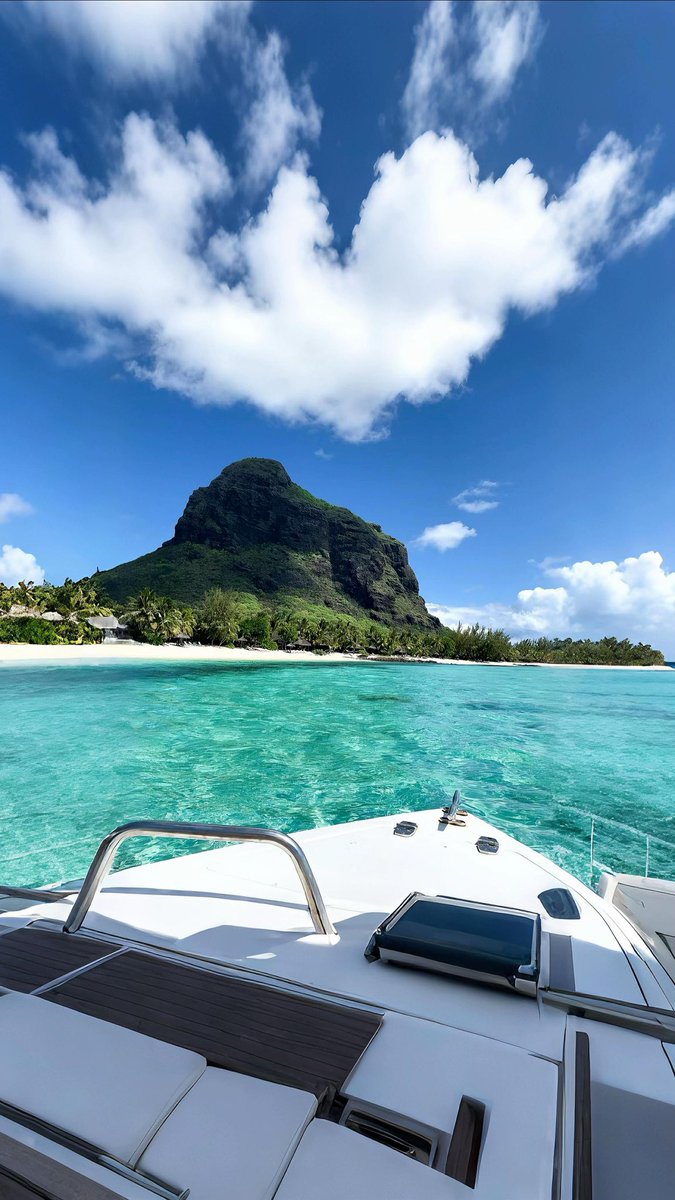 رحال tweet media