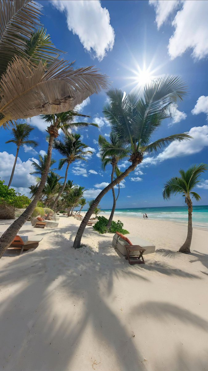 رحال tweet media