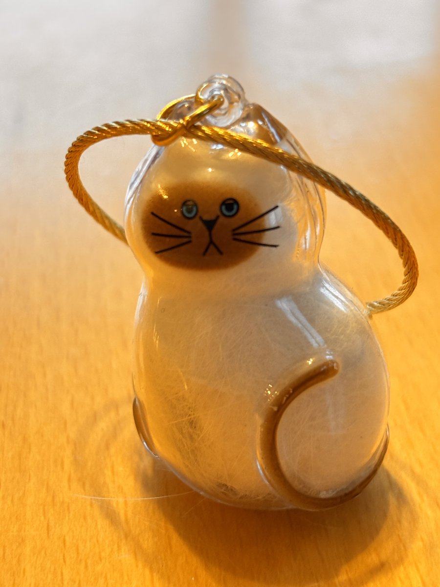 RINGO (@RINGO14662747) / Posts / X