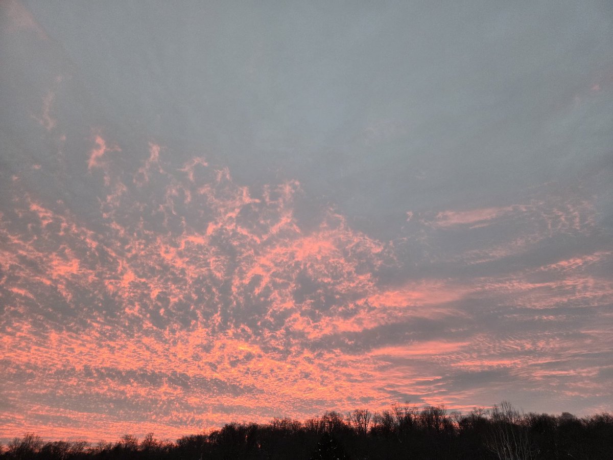 BillMill96's tweet image. Neat 👍 #pawx