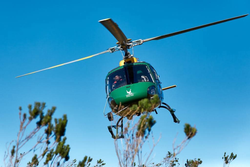 South African National Parks (SANParks) has deployed one of its helicopters at Table Mountain National Park (TMNP) as part of heightened safety and security operations for the festive season.