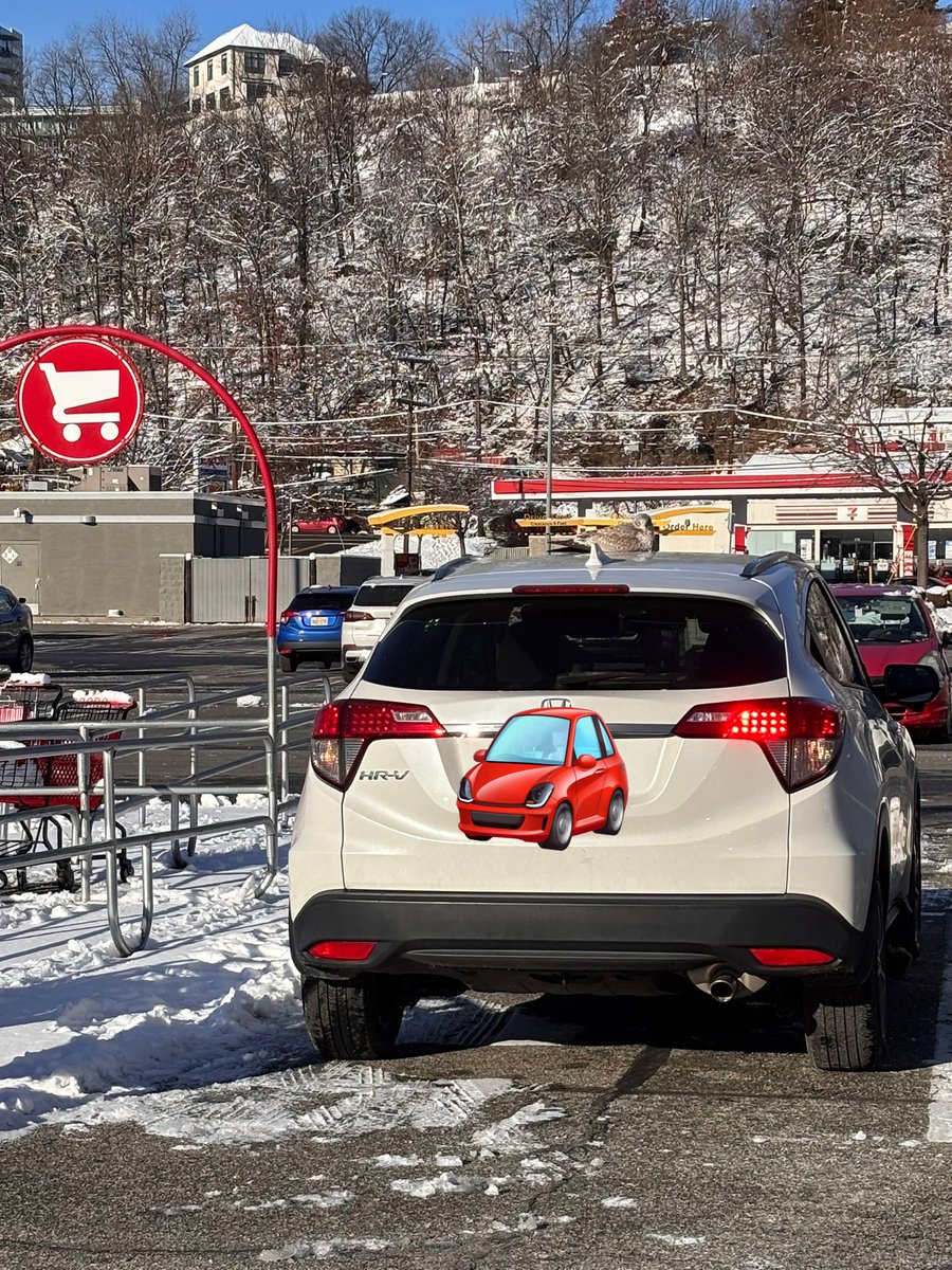 nm_anp's tweet image. 朝、道凍ってて超怖かった
鳥も車の上の方があったかいってか🕊️
誰の車か知らんけど