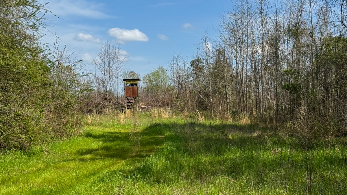 SOLD 110+/- Ac in Macon County, AL! Congratulations to both the buyer and seller on a smooth closing, and thank you for trusting Southeastern Land Group with your land!
John Hardin Land &amp; Lifestyle