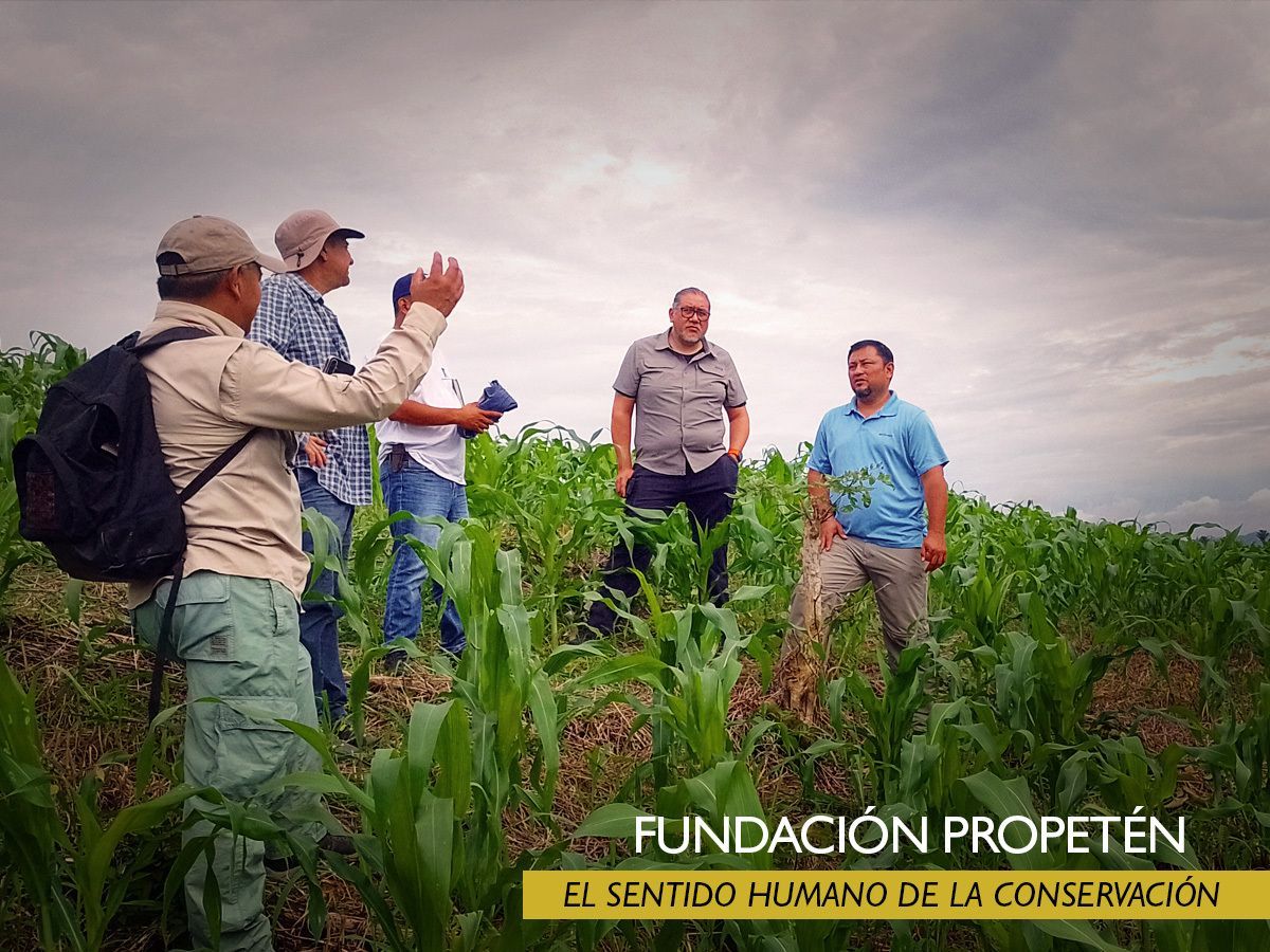 ProPeten's tweet photo. En el sureste de #Petén dimos un paso clave hacia la sostenibilidad 📍 Con @giz_gmbh y el programa Petén más Sostenible construimos indicadores que reflejen el compromiso local con los #ODS y junto a las comunidades tejer un Petén resiliente, justo y sostenible 🌍✨ #TeamEurope https://t.co/I9ujLKm2VK