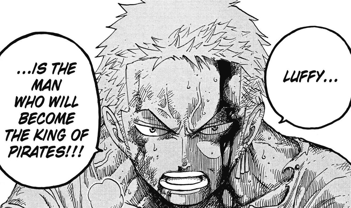 One Piece (@onepiecepanel) on Twitter photo 