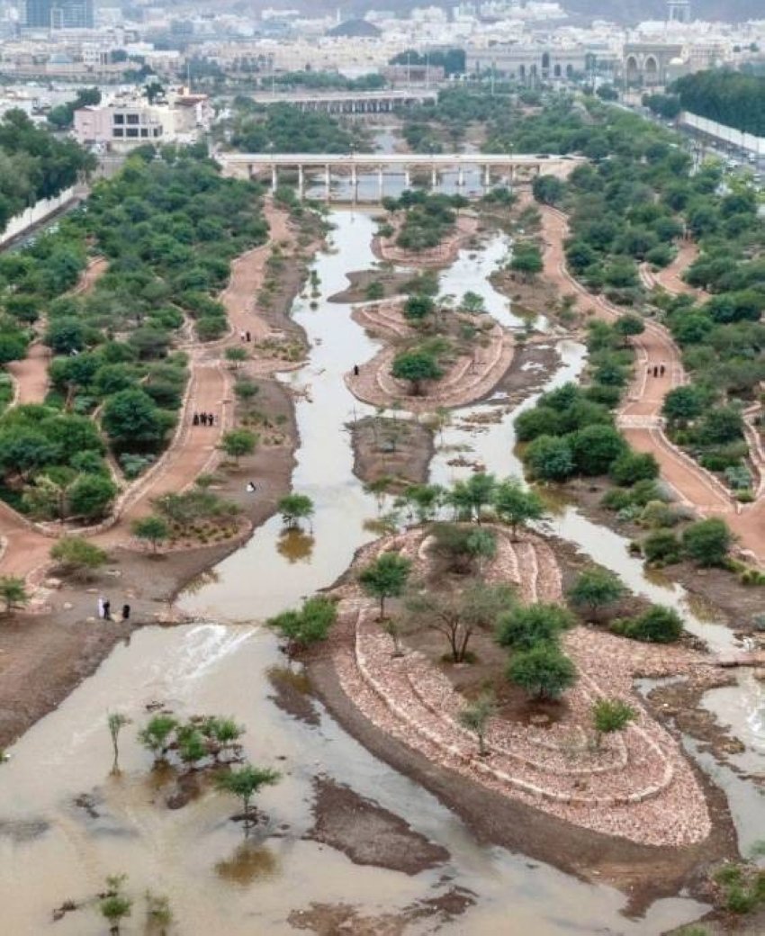 12 طائرًا و124 نباتًا تحيط بنزل ريفيَّة خلابة #روح_المدينة 