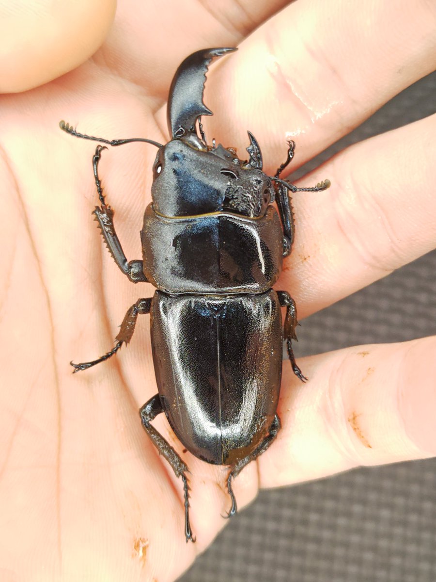 蕭聖翰 (@oba72367r) / Posts / X