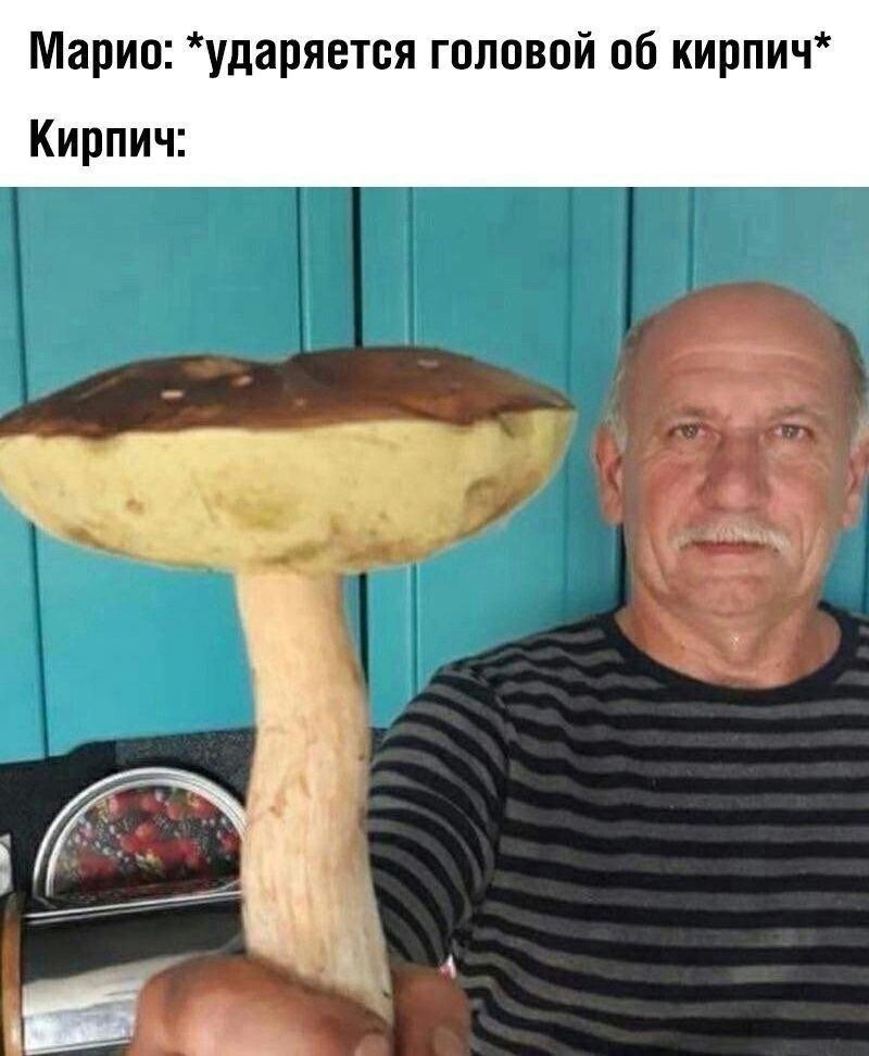 меня и так знают (@bian_98) on Twitter photo 