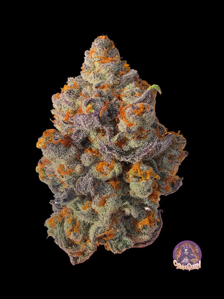 Happy Monday, everyone! A nug of Pie Hoe (Grape Pie x Tahoe OG). Enjoy your night everyone!