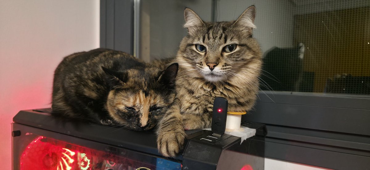 La unica diferencia que yo si voy al trabajo, y que el cadaver de lo comerian estos dos, por lo demas, estamos igual 🤣