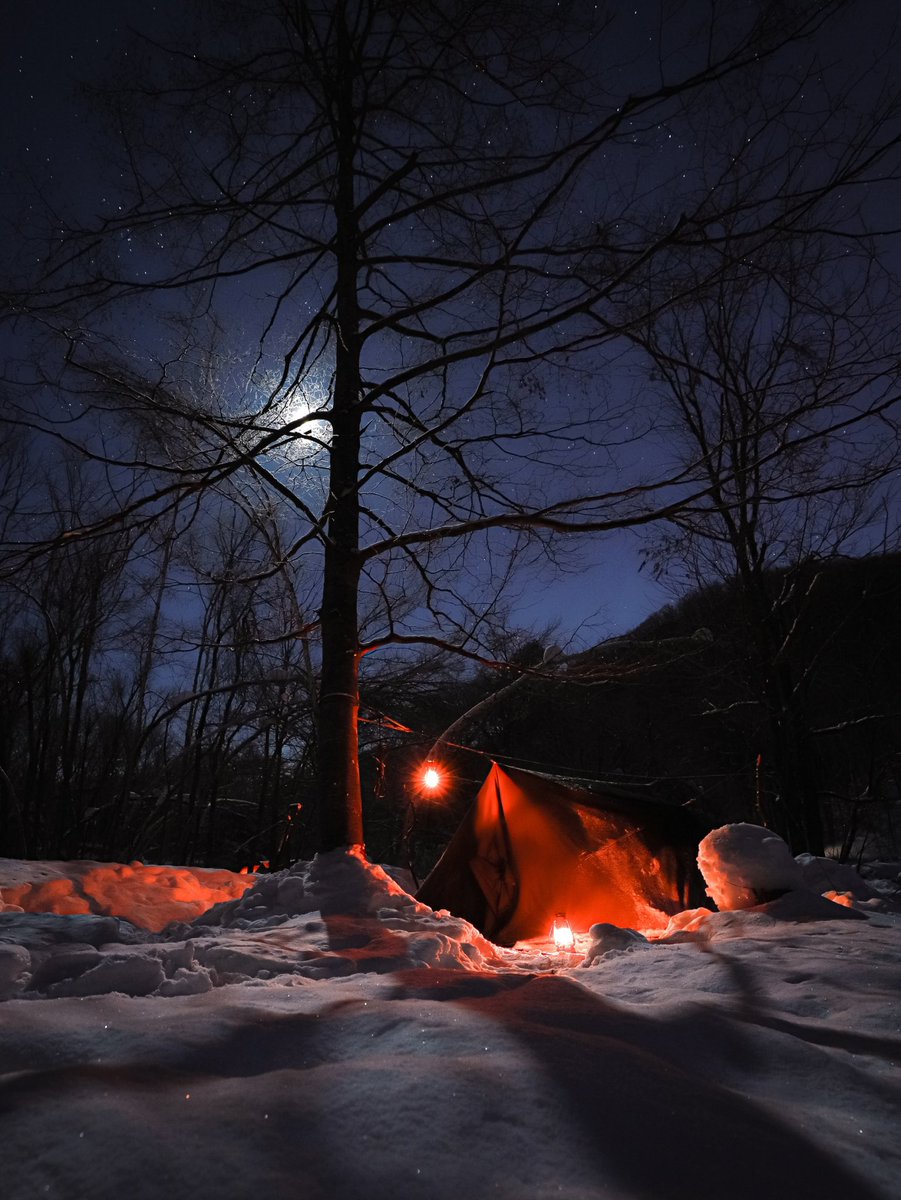 公式】MOOSE ROOM WORKS (@moose20181122) / Posts / X