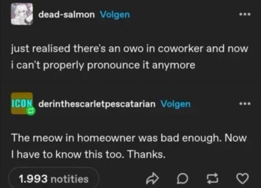Furry memes (@furrymems) on Twitter photo 