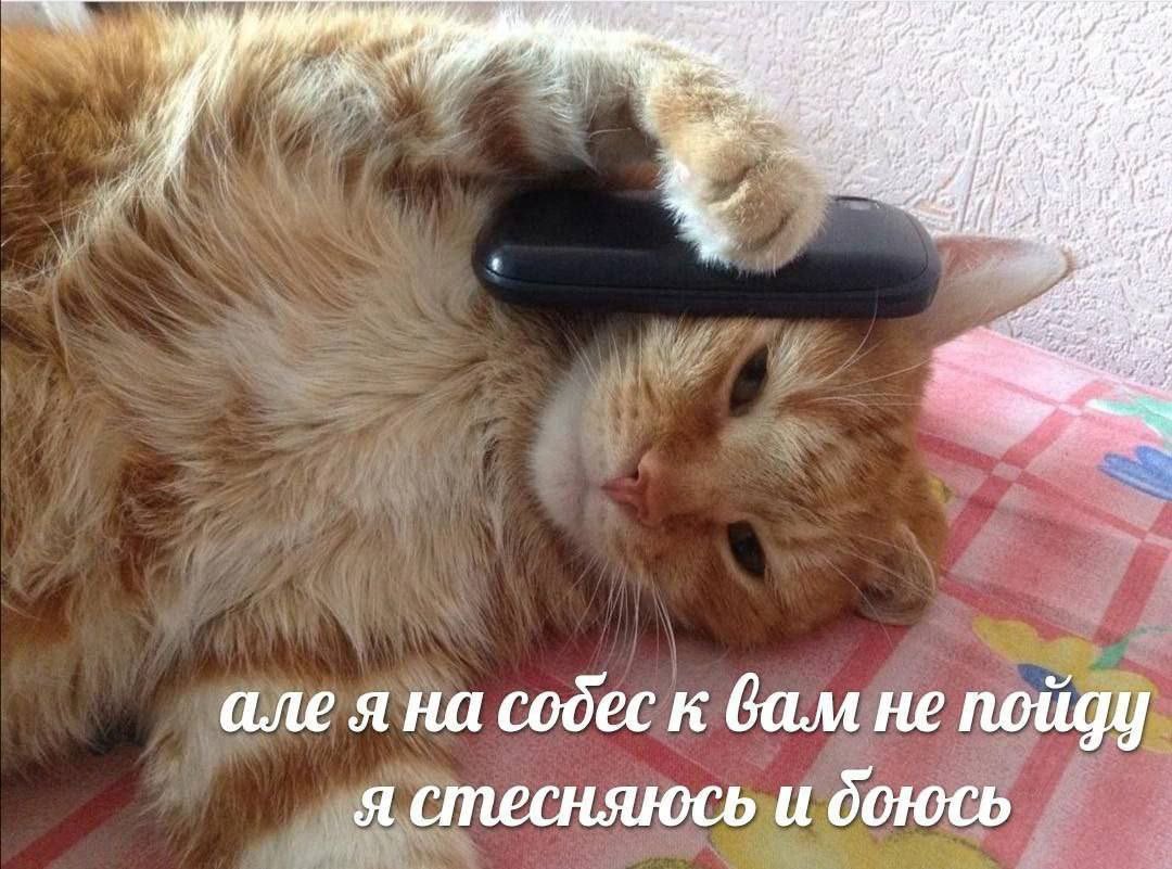 Можно просто Марк (@support_c_mapca) on Twitter photo 