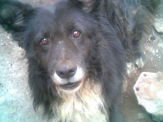 ✡️ Ne Andy Ch 🕎 🇨🇱🇮🇱🇦🇷🎗 tweet media