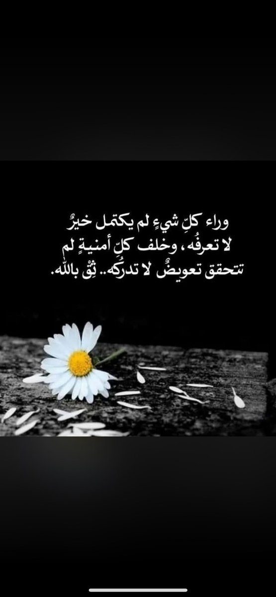 وليد بن خالد الحسين tweet media