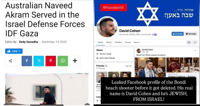 SW News - SOFT WAR NEWS tweet media