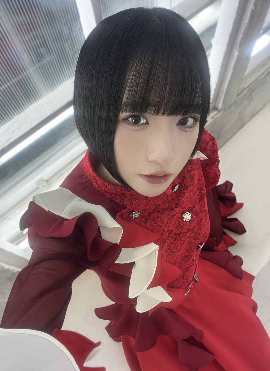 スーちゃんず🏰🪼 (@stareyes216) / Posts / X